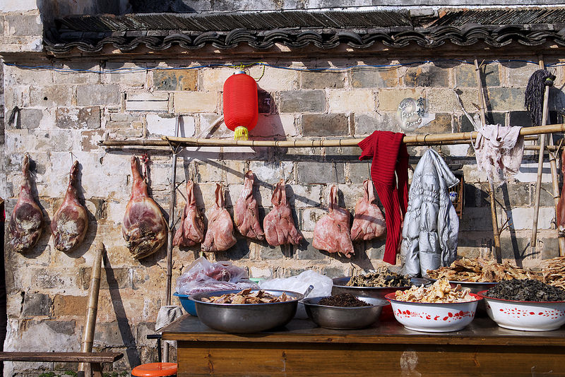 宏村 via Kate's FZ