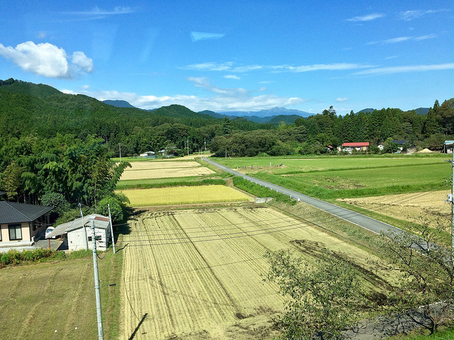 景色慢慢由櫛比鱗次的大廈轉為藍天、稻田