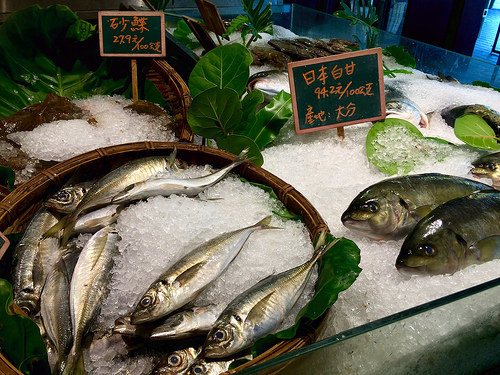 Sashimi, sea goods