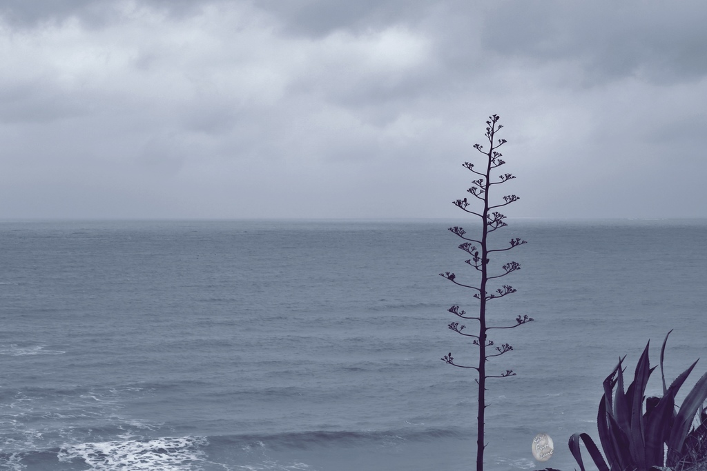 2019_03_08_9999_8.JPG 2019_03_08_9999_8.JPG