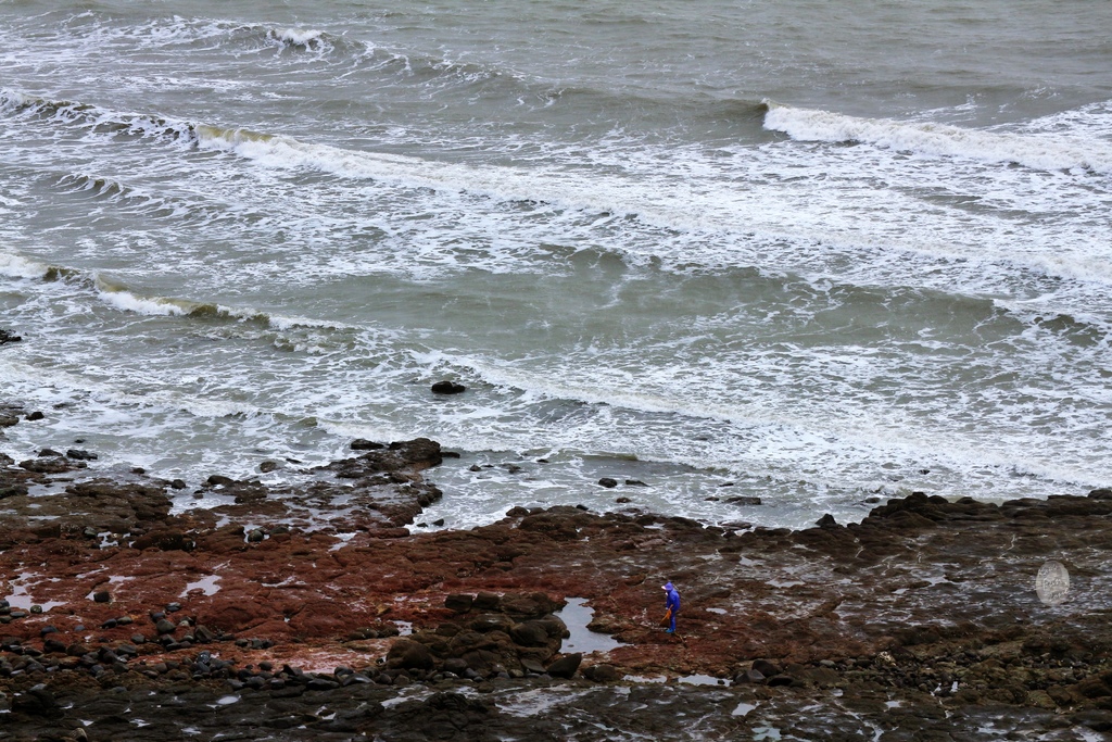 2019_03_08_9999_6.JPG 2019_03_08_9999_6.JPG