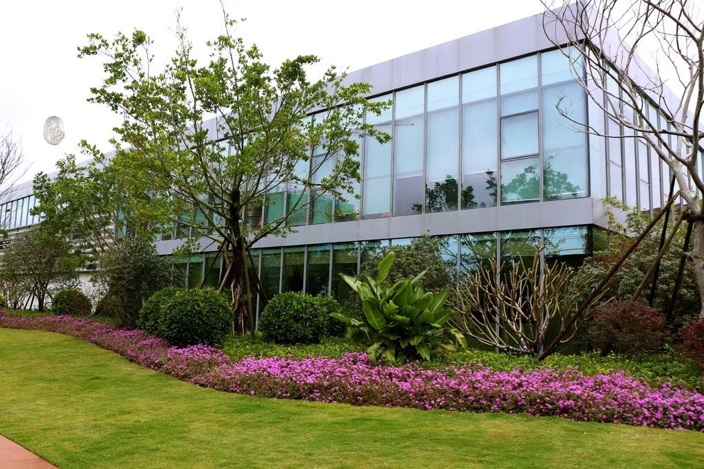 2019_03_08_9999_39.JPG 2019_03_08_9999_39.JPG