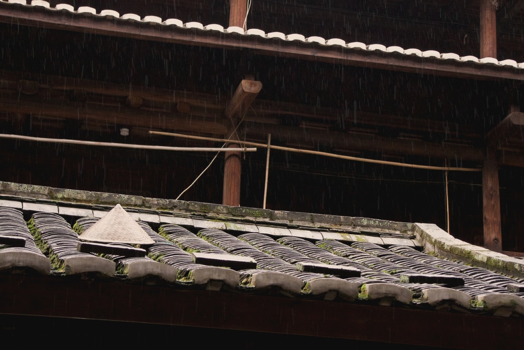 2019_03_08_9999_80.jpg 2019_03_08_9999_80.jpg