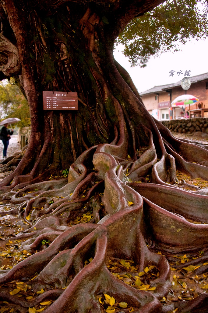 2019_03_08_9999_112.jpg 2019_03_08_9999_112.jpg