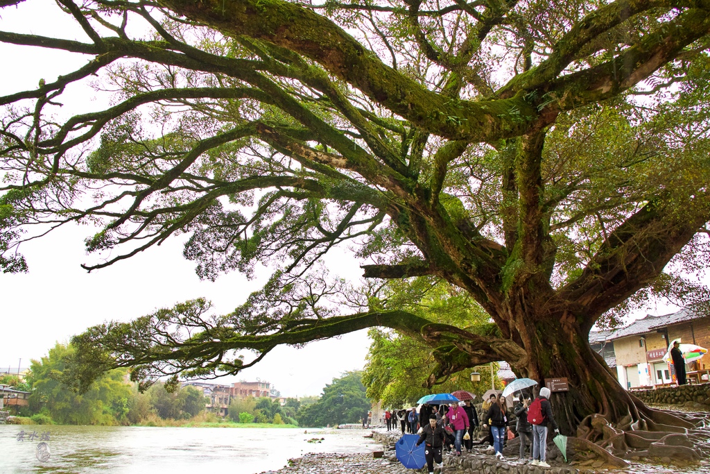 2019_03_08_9999_105.jpg 2019_03_08_9999_105.jpg