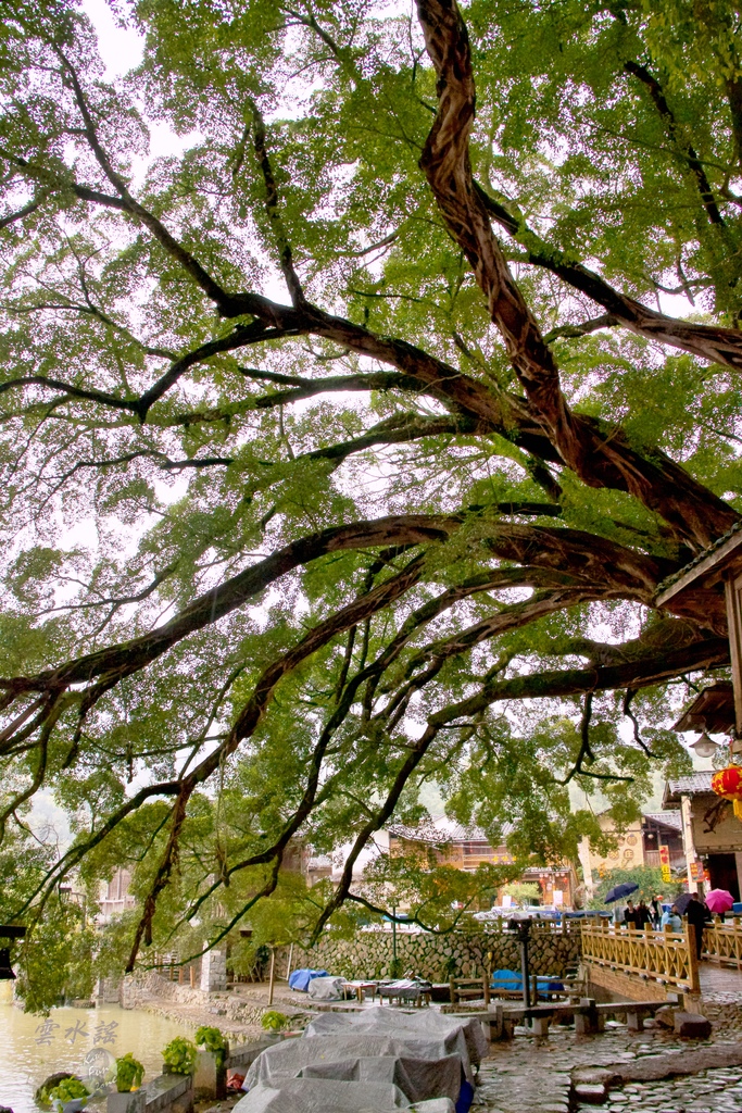 2019_03_08_9999_117.jpg 2019_03_08_9999_117.jpg