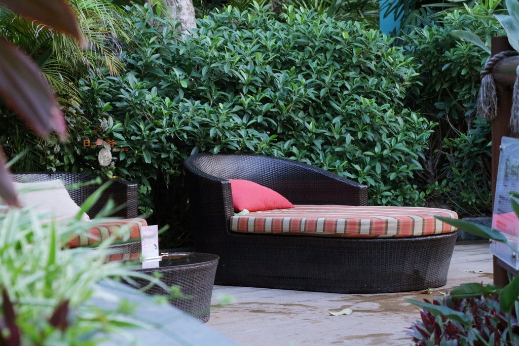 2019_03_12_9999_200.JPG 2019_03_12_9999_200.JPG